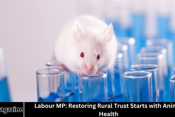 Labour MP: Restoring Rural Trust Starts with Animal Health