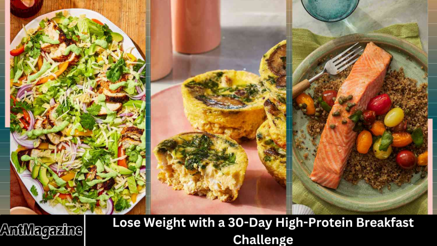 Lose Weight with a 30-Day High-Protein Breakfast Challenge Lose Weight with a 30-Day High-Protein Breakfast Challenge